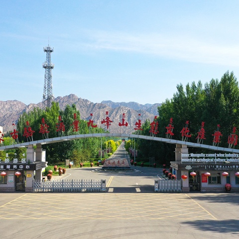 2011-至今